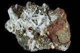 Pyrite On Calcite - El Hammam Mine, Morocco #80371-2